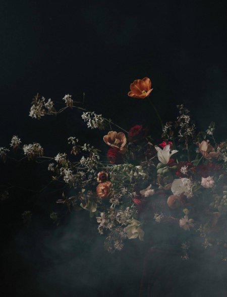 Мрачная Эстетика цветов