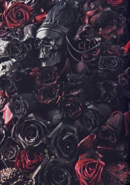 Роза Блэк Бонито чёрный