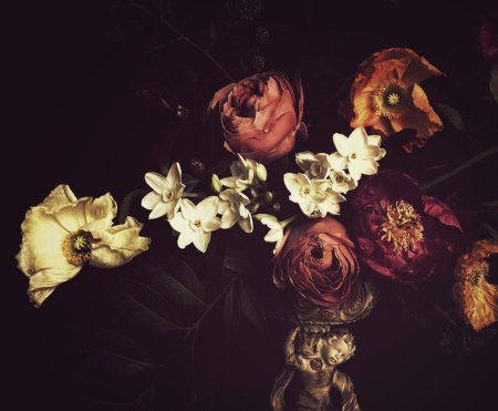 Мрачные цветы