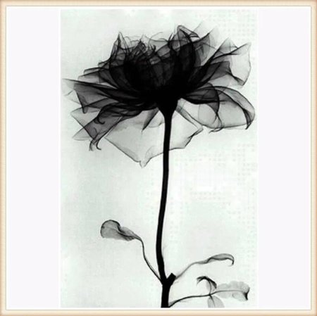 Блэк Флауэрс