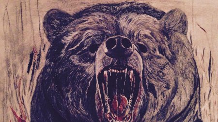 Медведь Гризли злой