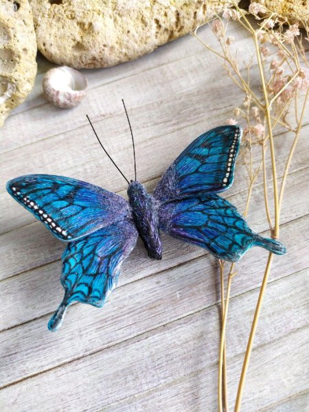 Синий Махаон