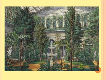 Зимний сад Санкт-Петербург