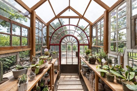 «Зимний сад» оранжерея Пэкстон
