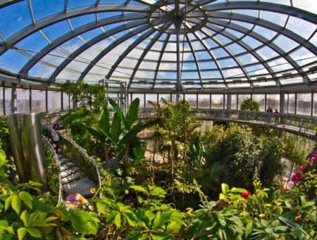 «Зимний сад» оранжерея Пэкстон