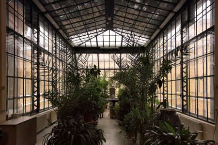 «Зимний сад» оранжерея Пэкстон