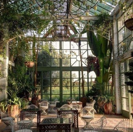 Зимний сад Кесадо-Алонсо