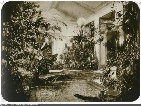 Зимний сад Юсуповского дворца, а.а.Редковский, 1862