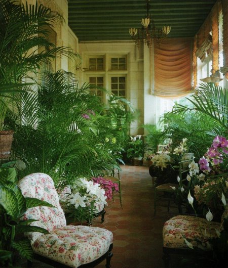 «Зимний сад» оранжерея Пэкстон