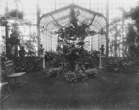 Зимний сад Юсуповского дворца, а.а.Редковский, 1862