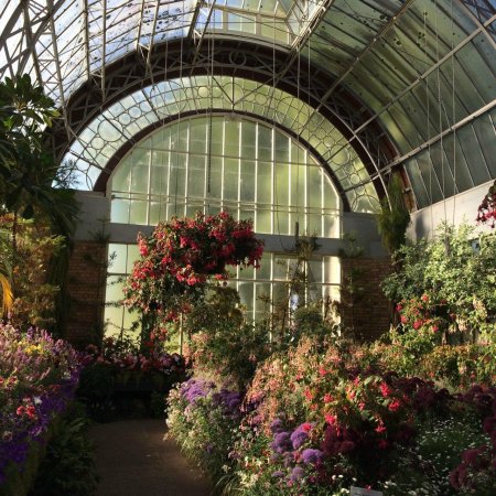 Оранжерея Лонгвуд Гарденс