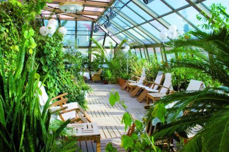 Зимний сад Кесадо-Алонсо