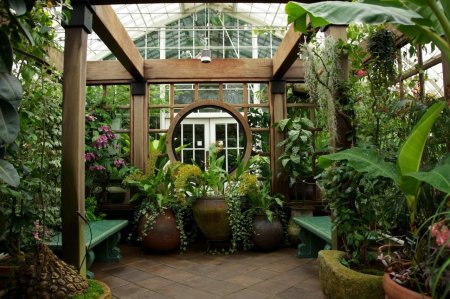 «Зимний сад» оранжерея Пэкстон