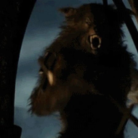 Волк оборотень Ван Хельсинг