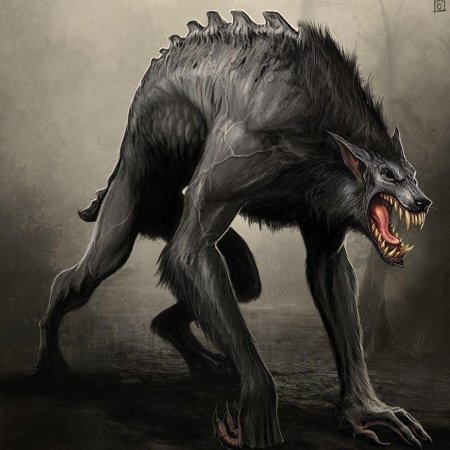 Волк оборотень Ван Хельсинг