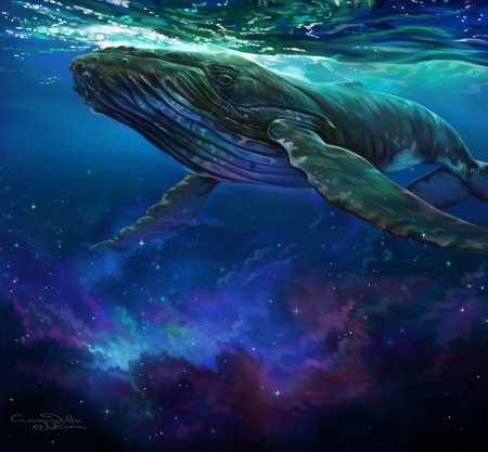 Космический кит