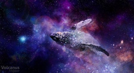 Совергон космический кит