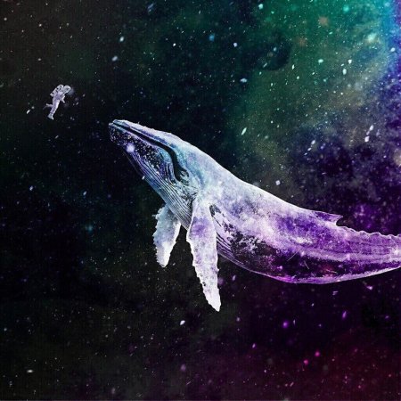 Совер7он космический кит обложка