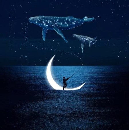 Небесный кит Геншин