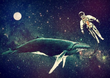 Кит в космосе