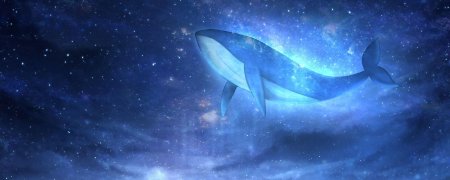 Кит заставка