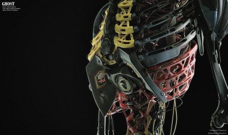 Vitaly Bulgarov Ghost in the Shell