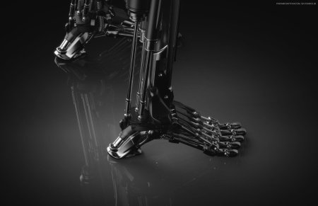 Т 800 эндоскелет