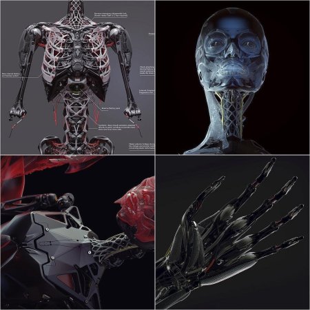 Cyberpunk 2077 скелет