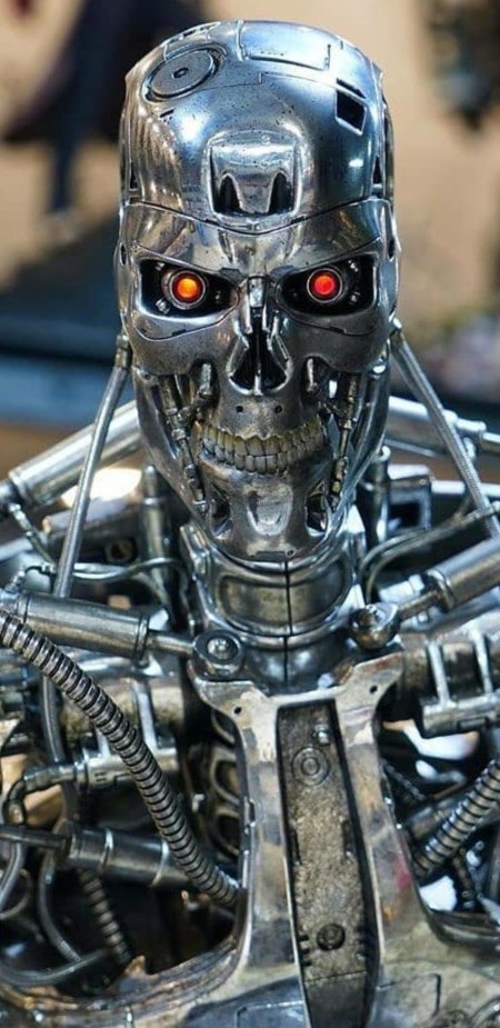 Terminator Endoskeleton