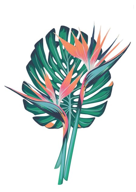 Цветы в иллюстраторе