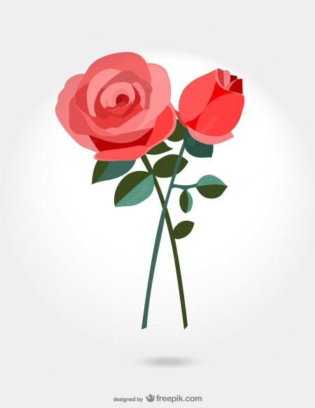 Роза в иллюстраторе