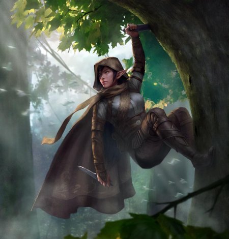 Эльфийка ассасин ДНД