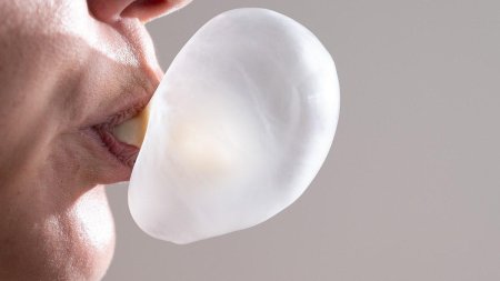 Жеванная жвачка