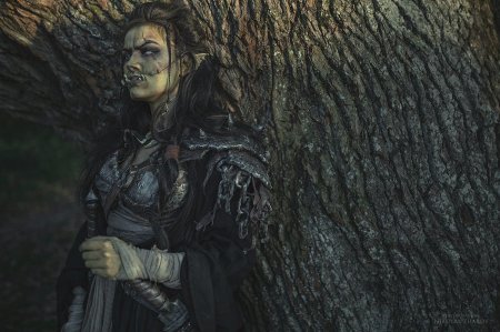 Скайрим орчиха арт