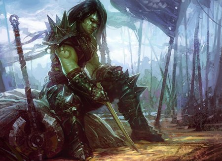 Варкрафт орчиха воин