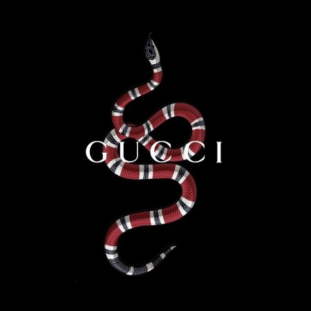 Змея Аспид гуччи