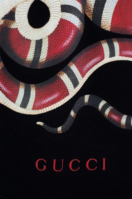 Коралловый Аспид гуччи