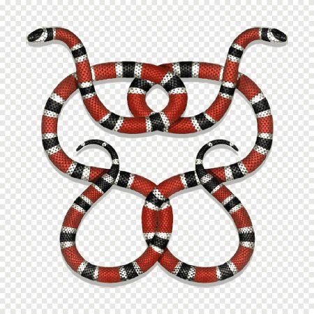 Змея Аспид гуччи