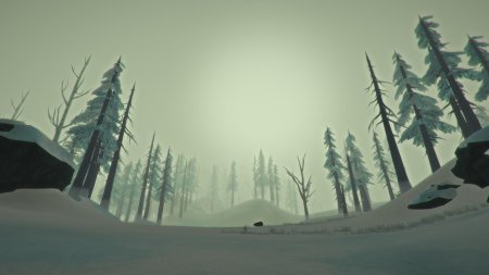 The long Dark