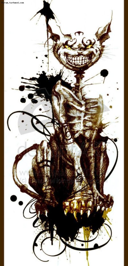 Алиса Американ МАКГИ кот