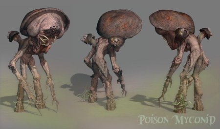 Микониды ДНД