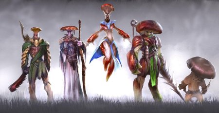 Раса грибов ДНД