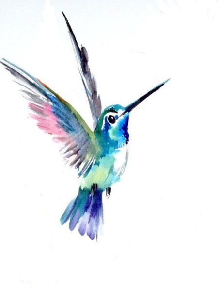 Тату Колибри