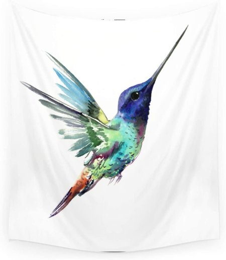 Колибри акварель