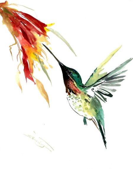 Картины акварелью Колибри