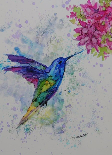Колибри рисунок