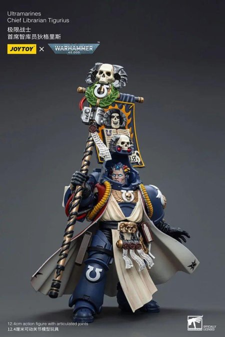 Chief Librarian Tigurius