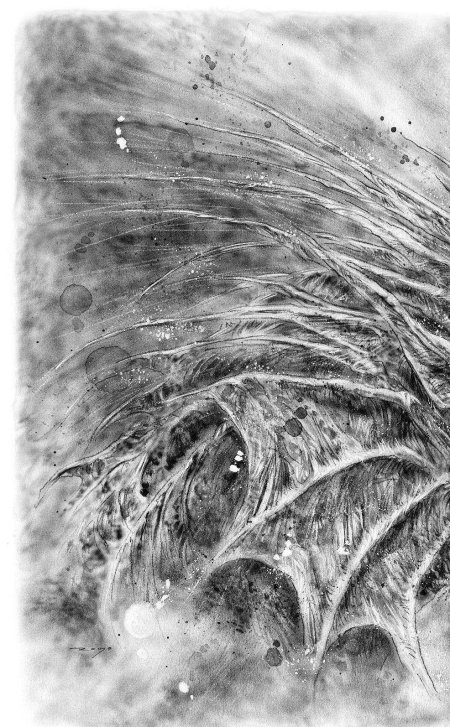 Ледяной дракон Мартин