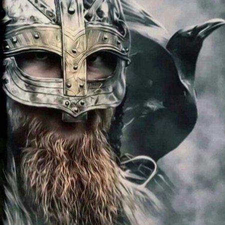 Хастейн Викинг