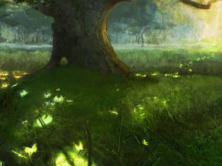 Волшебная Поляна в лесу